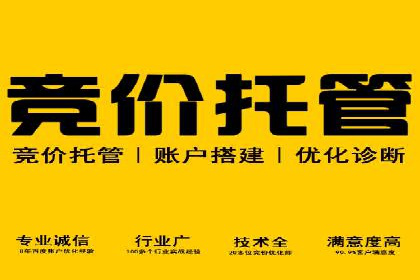 百度竞价运营策略：成功案例解析